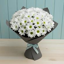 Букет цветов из:  Хризантемы в Высоковске