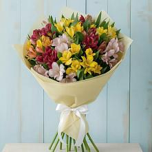 Букет цветов из:  Альстромерии #REPLACE_PRED# Высоковске