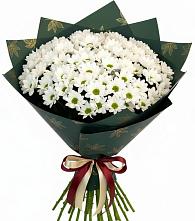 Букет цветов из:  Хризантемы в Высоковске