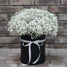 Цветочная композиция из Гипсофила в шляпной коробке в Высоковске