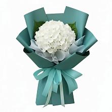 Букет цветов из:  Гортензия #REPLACE_PRED# Высоковске